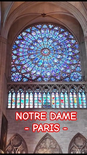 Notre Dame REABIERTA 😱 Así luce en 2026 #paris #travel