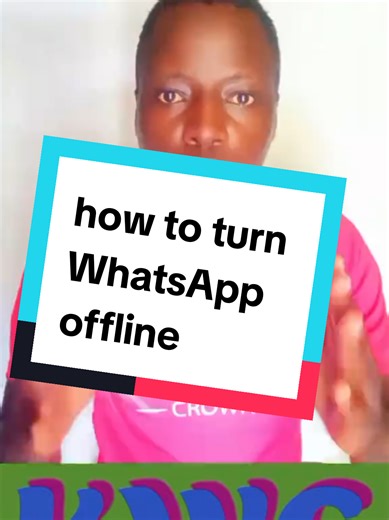Cómo poner WhatsApp en modo offline