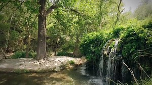 Arteaga, Coahuila de Zaragoza Un vídeo del municipio de Arteaga que nos muestra algunas de las bellezas naturales con que cuenta, en las que se incluyen no sólo las del Pueblo Mágico, sino otras comunidades como San Antonio de las Alazanas; contempla las pequeñas cascadas de los Chorros y los paisajes que nos brindan los Cerros de la Martha y de la Viga, asi como los Cañones de la Carbonera, el Diamante, el tunal, Huachichil y los Lirios, | Conoce Saltillo