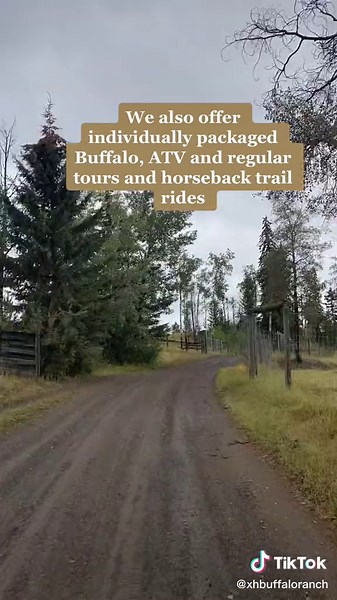 Welcome to XH Buffalo Ranch! Follow for more to come! #xhbuffalo #xhbuffaloranch #70milehouse #70milehousebc #ranchlife #buffalo #bisonranch #bison