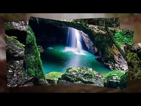 Springbrook national Park australie