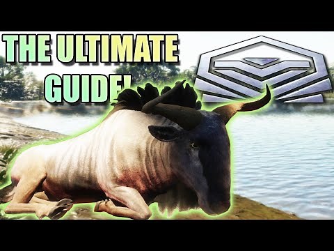 Complete Blue Wildebeest Guide | Hotspots, Drink Zone Times & More! Call of the Wild