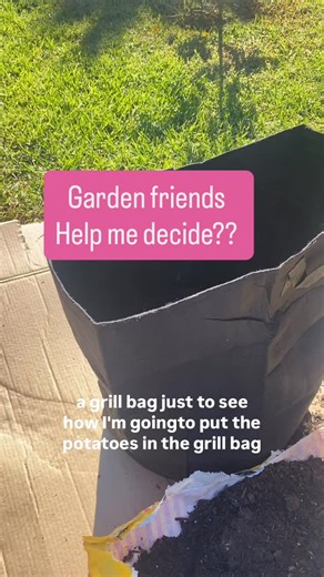 The Pocket Librarian on Instagram: "“Day 3 resistance garden check-in 🌱 Not much to show yet because I’ve been planning more than planting. I really want to add a trellis so I can grow vertically, which means the layout has to be right from the start. I’m looking into compost now and thinking through layers- compost, raised bed mix, then mulch. So should I use cardboard as a weed barrier or just plant straight into the ground?"
