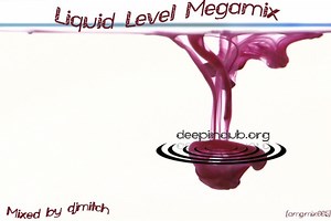 Liquid Level - Liquid Level Megamix