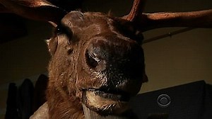 Watch Medium Season 6 Episode 18 - There Will Be Blood...Type B