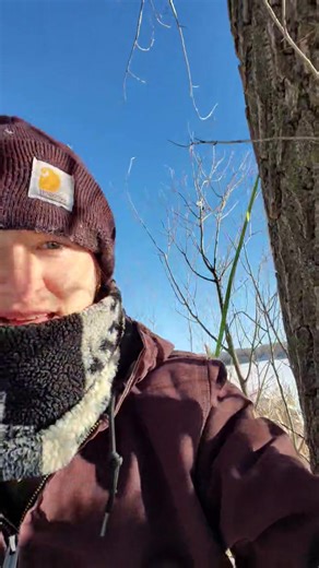 It's Mustelid Monday! Featuring Atlas the #mink Did you know the Mustelid family has over 56 species? They are the largest family of carnivores. Some of their relatives you may know of are: ferrets, badgers, otters, weasels, and fishers! These animals are bad ass and their hunting skills are incredible. Many members of this family have no problem taking down animals three times their size. More posts on Saveafox Mustelids | Saveafox Corporation