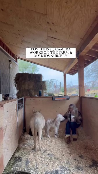 41K views · 250 reactions | ✨COMMENT LINK ✨ for this on sale $39 baby...