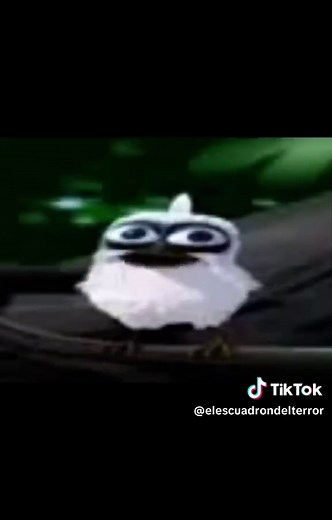 Comentarios Graciosos de Polnito en Redes Sociales