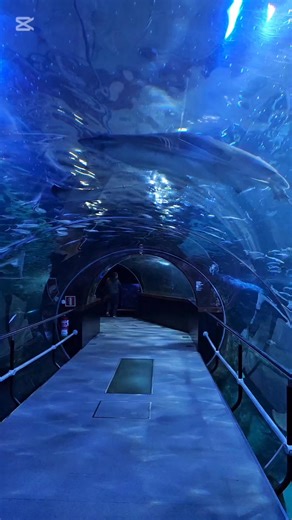 22K views · 764 reactions | #reelsvideoシ #المغربMorocco #travel #nature | Mehdi Abdelafi | Facebook