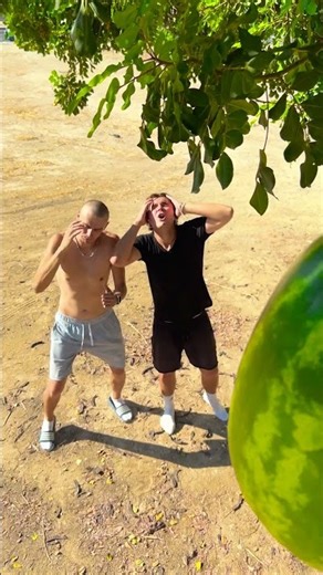 You Won't Believe This! Watermelon Trees Exist! 🌳🍉