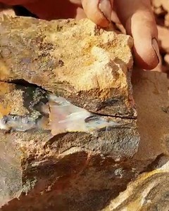 5.5K views · 190 reactions | This is another example of an opal bubble formation. And as a bonus, we accidentally spilt it open to reveal what was inside! ⚒ Sue | Broken River Mining | Facebook