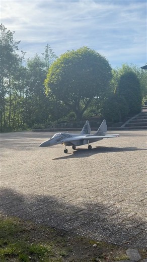 Freewing MiG-29 Function Check ✈️🔥