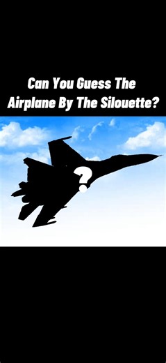 Challenge: Guess The Airplane 44 #aviation #plane