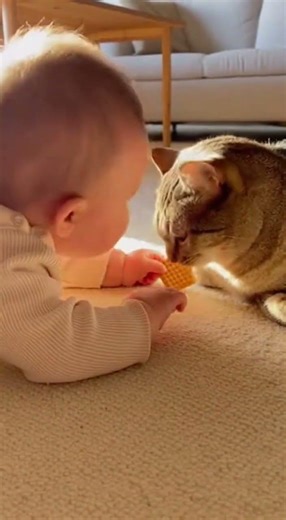 He Said “Eat…” — The Cat’s Reaction 😭😂