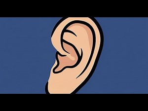 Intervals Exercise - All Intervals Up To An Octave