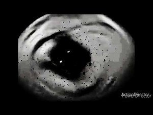 cinnamon toast crunch high dive effect iot the video