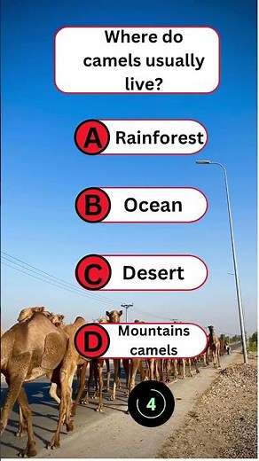 Where Do Camels Live? 🐫 | Camel Habitat Explained for Kids & Learners