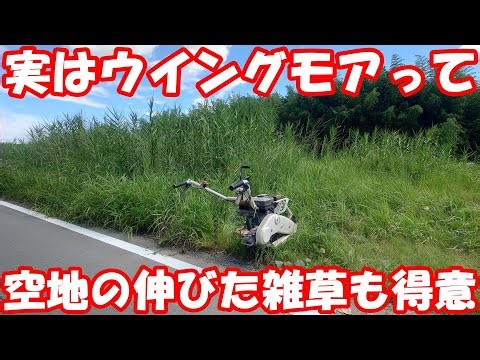 背丈以上のヨシだらけ空き地にウイングモアで突撃。#mower #草刈り