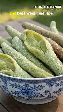 🐛💚Caterpillar Fruit – Cecropia Tree / Trumpet Tree | Nature’s Hidden Tropical Snack 🐛💚