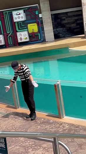 34K views · 565 reactions | You are simply the best at what you do Lynn. #thanksforthelaughs #artist #mime | FunnyWild Advntures | Facebook