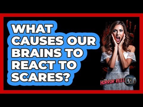 What Causes Our Brains To React To Scares?