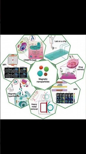 BioMedical Applications of Magnetic Nanoparticles