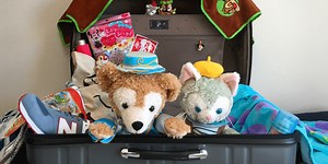 Packing List for a Day at Tokyo Disney Resort