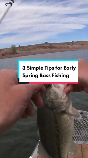 3 Tips for Early Spring Bass Fishing: Find the Warmest Water & Slow Down! #bassfishingbasics #bassfishing #fishing #spring #fishing #coldwater #bigbass #catchfish #outdoors #sport