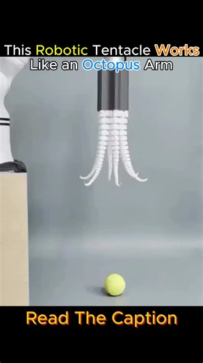 you knew??? | This Robotic Tentacle Works Like an Octopus Arm 🤯🐙 A company in China called SpiRobs has developed a robotic tentacle arm that mimics the... | Instagram