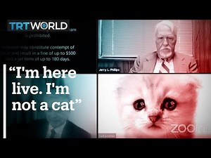 Lawyer joins video court hearing with kitten filter