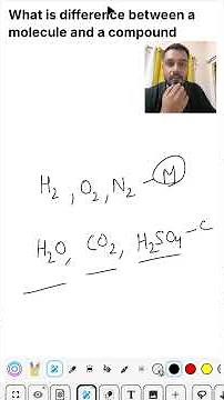 what is difference between a molecule and a compound class 11th chemistry