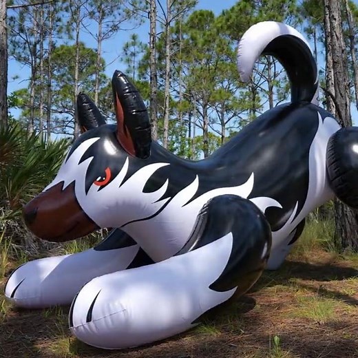 Black and White 8-Foot-Long Husky Ride-On Toy Inflation