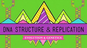 DNA Structure and Replication: Crash Course Biology #10
