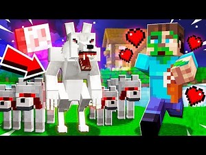 MOST OVERPOWERED MINECRAFT WOLF PET!