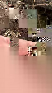 Good luck charm 🤩 | GOLD-COIN & RELICS AUSTRALIA