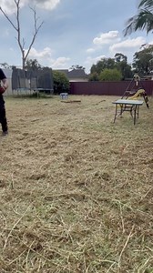 I drove out to Mount Druitt again today to help a few people in the community. This probably needs to be shared to remind us all to help others instead of judging. Thoughts? #satisfying #asmr #lawncare | Nathans Lawns and Gardens