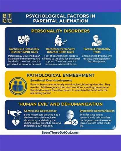 Been There Got Out | Divorce & Custody with a Narcissist on Instagram: "Your ex isn't just "mad" at you—they're executing a calculated psychological attack. 💔 Parental Alienation isn't a petty custody fight; it's a form of emotional warfare that rewires your child's brain and turns their love into fear. The psychological drivers behind alienation are dark and strategic: 1) Projective Identification: The alienator projects their own unmanageable feelings (like rage and shame) onto you, then psyc