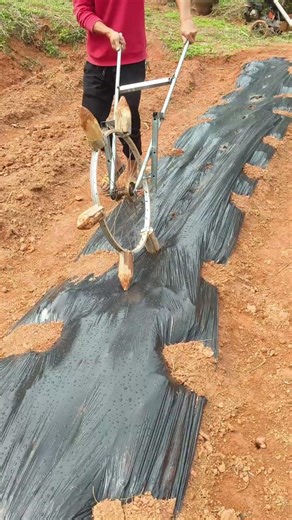 The wisdom of farmers, using practical perforating tools for plastic fil