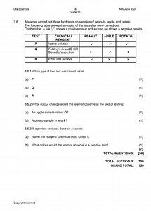 3.6 Food Test Results Table| TEST | CHEMICAL/REAGENT         ... | Filo