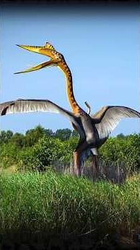 What We Got Wrong About the Biggest Flying Animal #Quetzalcoatl #Dinosaur #Birds #Shorts