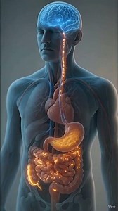 Banana 🍌|#fyp #science #banana #benefits