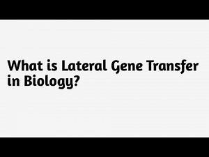 What is Lateral Gene Transfer in Biology ?