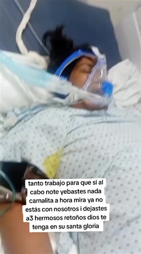 Videos de el.guano (@el.guano03) con “sonido original - el.guano”