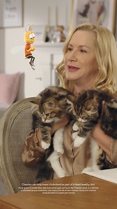 3.2K views · 1.5K reactions | Say “good morning” to Honey Nut Cheerios! These tasty little O's are heart healthy* and delicious. | Cheerios | Facebook