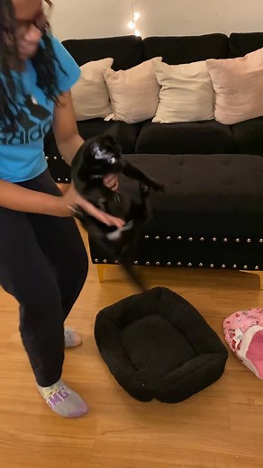 6.8K views · 122 reactions | Five Below Haul | Chynagetsitdone | Facebook