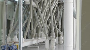 Modern automated grist mill, flour factory with equipment