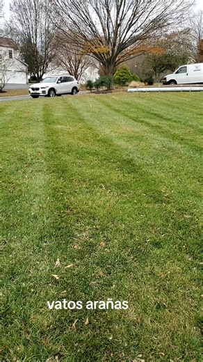 ꧁✞ƁԼƛƇƘ ӇƲƝƬЄƦ✞꧂ (@black_hunter31)’s videos with sonido original - Guzman Music