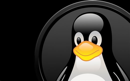 v4l2 图像抓取演示