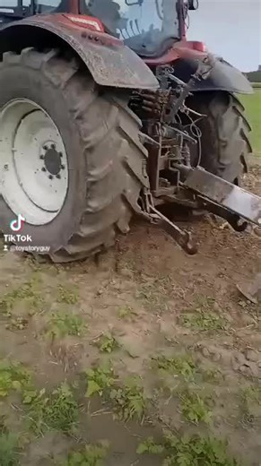 Powerful Tractor in Action: Corn Harvesting Techniques