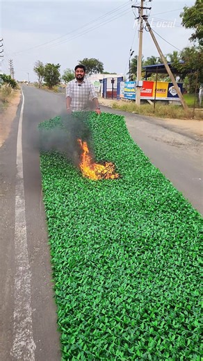 பணத்தை 🤑 மிச்சம் படுத்தலாம் #viral #fencing